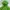 Sportswear Casual Parka Pria green photo 4