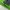 Sportswear Casual Parka Pria green photo 3