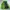 Sportswear Casual Parka Pria green photo 6