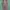 Hijup Casual Maxi dress Wanita green photo 1