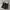 Dickies Vintage Y2K Pria black photo 3