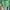 Polo Ralph Lauren Casual Polo shirt Pria green photo 6