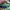 Polo Ralph Lauren Casual Polo shirt Pria green photo 3
