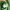 Polo Ralph Lauren Casual Polo shirt Pria green photo 5