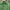 Polo Ralph Lauren Casual Polo shirt Pria green photo 2