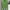 Polo Ralph Lauren Casual Polo shirt Pria green photo 1