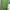 Polo Ralph Lauren Casual Polo shirt Pria green photo 7