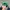 Vintage Streetwear Hat Pria green photo 3