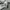 Carhartt Streetwear Y2K T-shirt Pria gray photo 5