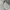Carhartt Streetwear Y2K T-shirt Pria gray photo 4