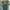 Casual Jersey Pria green photo 1