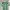 Casual Jersey Pria green photo 7