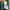 Casual Jersey Pria green photo 5