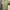 Oakley Casual T-shirt Pria khaki photo 5