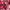Adidas Sportswear Minimalist Sweatpants & Joggers Kids red black photo 1