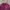 Under Armour Minimalist Hoody Pria burgundy photo 2