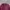 Under Armour Minimalist Hoody Pria Burgundy