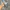 Under Armour Minimalist Hoody Pria gray photo 3