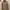 WHO.A.U Streetwear Y2K Hoody Pria brown photo 1