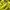 Gorpcore Pea coat Pria yellow photo 4