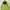 Gorpcore Pea coat Pria yellow photo 1
