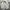 Ventura Vintage Casual Harrington jacket Pria cream photo 1