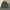Burberry Vintage Casual Denim jacket Pria tan photo 1