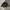 Gorpcore Sportswear Puffer jacket Pria black photo 1