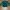 Streetwear T-shirt Pria green photo 1