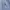 Polo Ralph Lauren Casual Polo shirt Pria white blue photo 2
