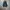 JanSport Y2K Futurist Bag Pria white blue photo 4