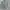 Sunnystep Minimalist Casual Casual shirt Pria green gray photo 2