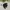 Adidas Minimalist Casual Track jacket Kids black photo 5