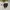 Adidas Minimalist Casual Track jacket Kids black photo 1
