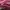 Longchamp Casual Tote bag Wanita pink photo 7