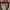 Longchamp Casual Tote Bag Wanita Pink