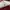 Longchamp Casual Tote bag Wanita pink photo 1