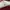 Longchamp Casual Tote Bag Wanita Pink