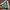 Converse Vintage Casual shoe Pria green photo 4