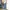 Japanese brand Streetwear Skater Jeans Pria multicolor photo 1