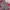 Y2K Skater Puffer jacket Pria red photo 3