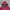 Y2K Skater Puffer Jacket Pria Red