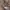 Uniqlo Streetwear Gorpcore Puffer jacket Pria tan photo 2