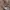 Uniqlo Streetwear Gorpcore Puffer Jacket Pria Tan