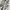 Beaumont Carr Y2K T-shirt Pria white black photo 6