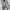 Beaumont Carr Y2K T-shirt Pria white black photo 5
