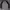 MLB Sportswear Casual Sweatshirt Pria black gray photo 4