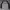 MLB Sportswear Casual Sweatshirt Pria black gray photo 1