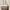 Coach Vintage Tote bag Wanita white photo 3