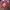 Disney Vintage Y2K Sweatshirt Pria red photo 1